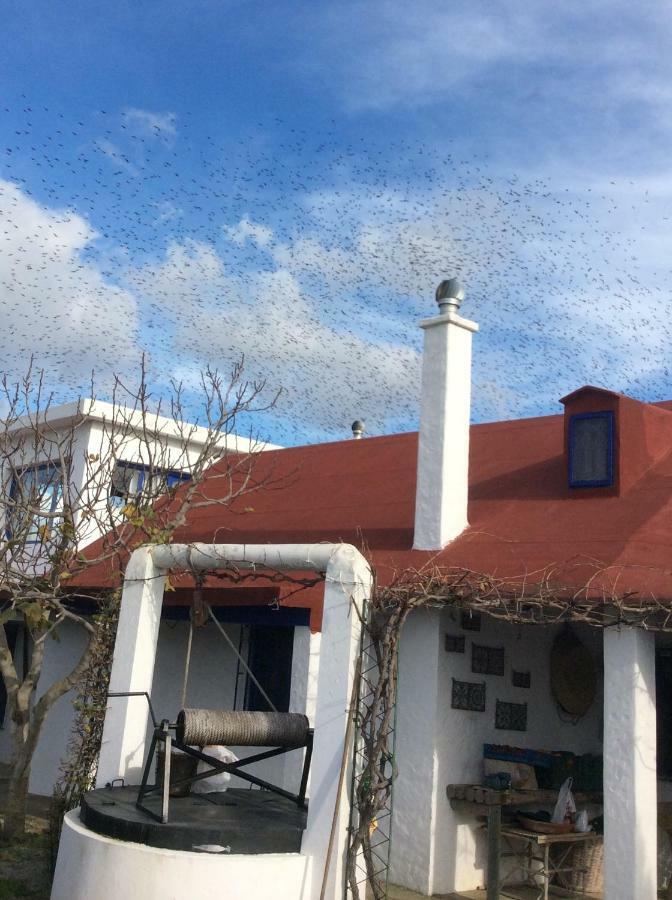 La Casa de las Higueras Dar Karmus Tétouan Exterior foto